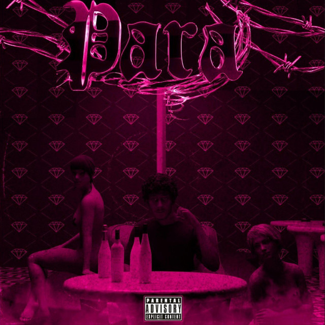 PARA cover art
