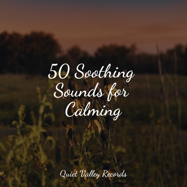 50 Soothing Sounds for Calming - Album by It's Raining | Spotify