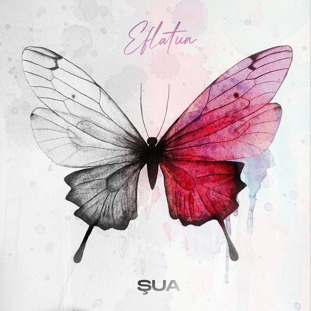 EFLATUN cover art
