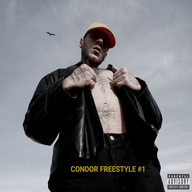 Condor (Freestyle #1)