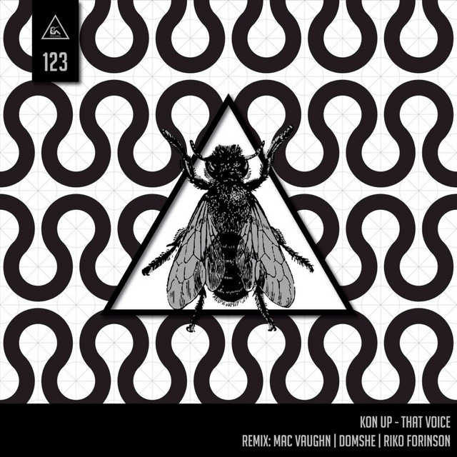 That Voice - Domshe's Slow Mix cover art