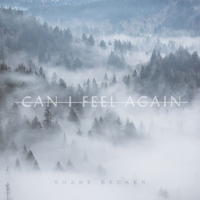 Can I Feel Again cover art