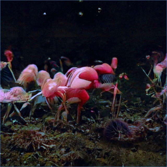 Atmo (Venture) cover art