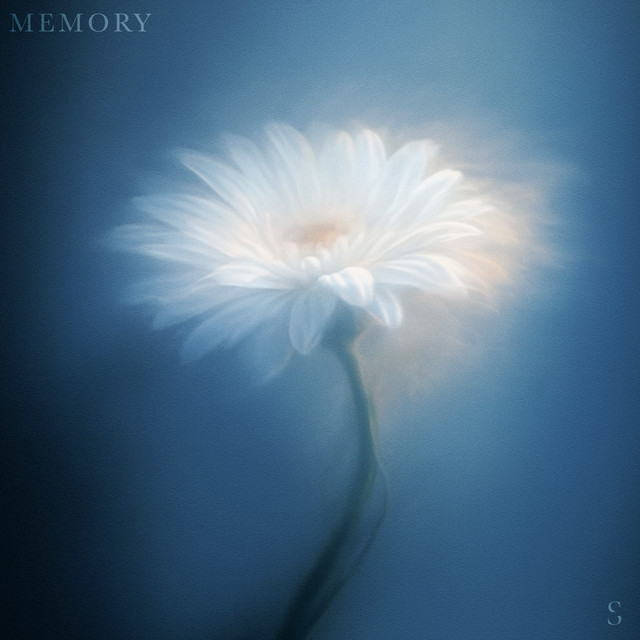 Memory cover art