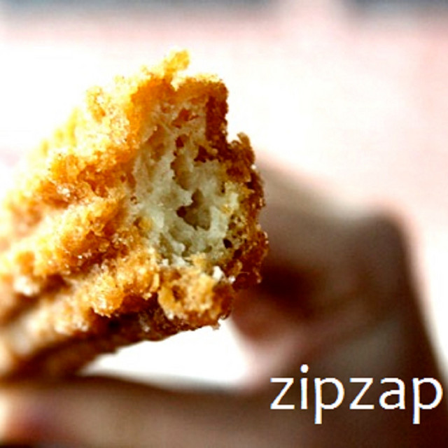 ZipZap cover