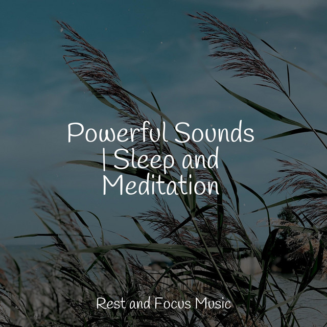 Powerful Sounds | Sleep and Meditation - Album by Spa Zen | Spotify