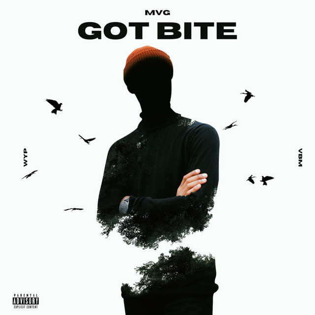 Got Bite cover art