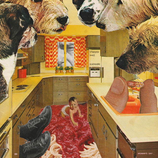 Starved Dogs cover art