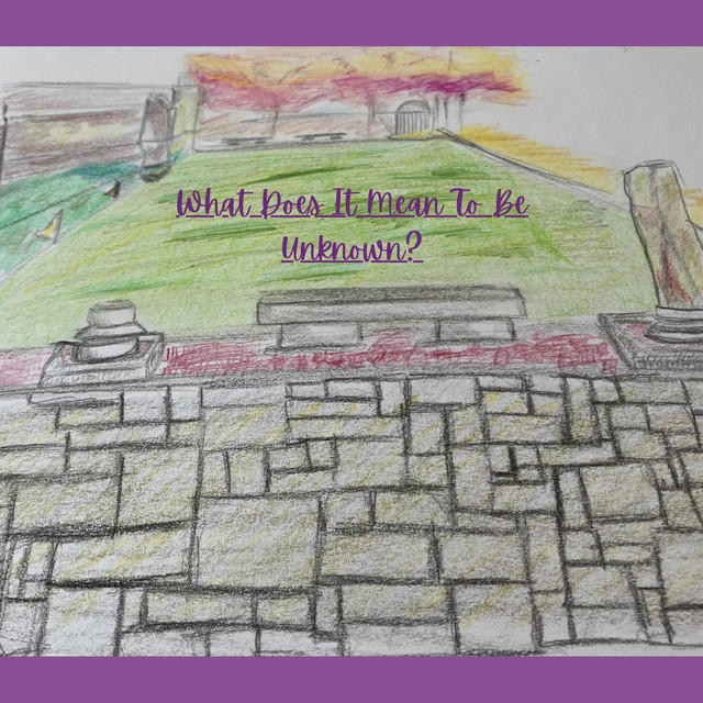 What Does It Mean To Be Unknown? cover art