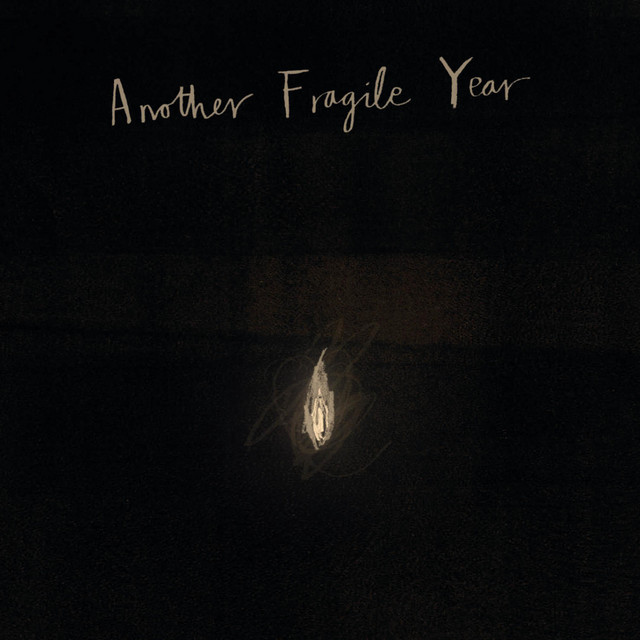 Another Fragile Year cover