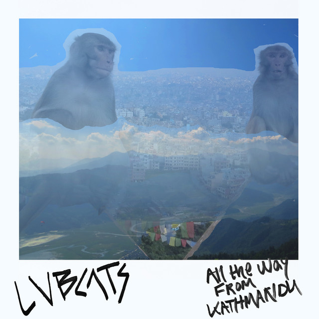 Lvbcats