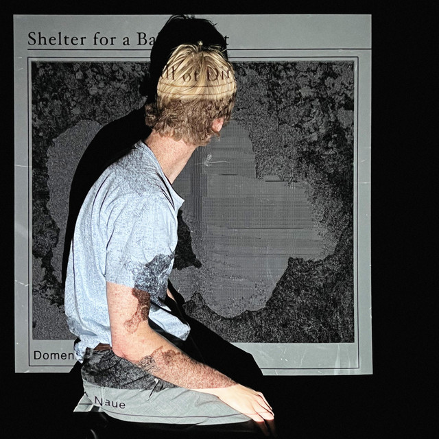 Shelter for a Ball of Dirt cover art