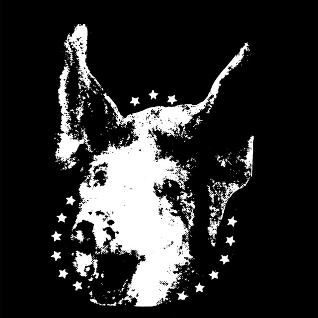 Collection 2009-2020 cover art