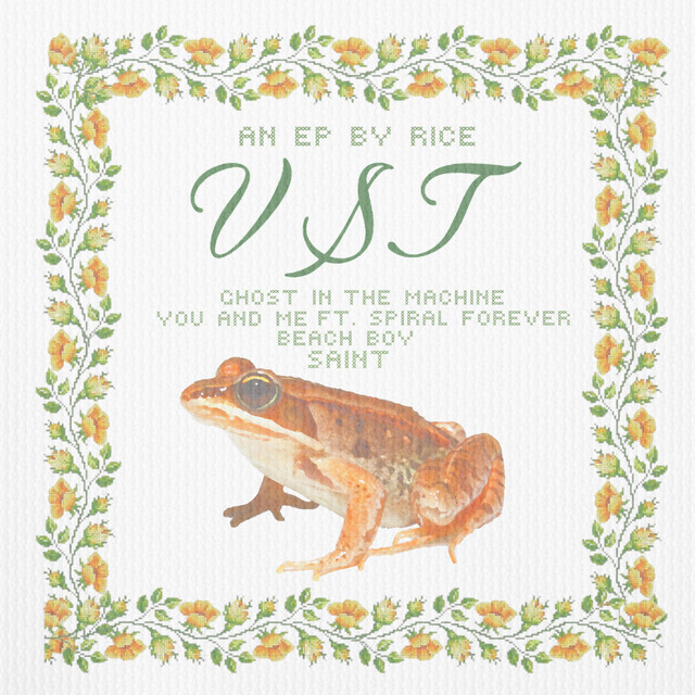 VST cover art