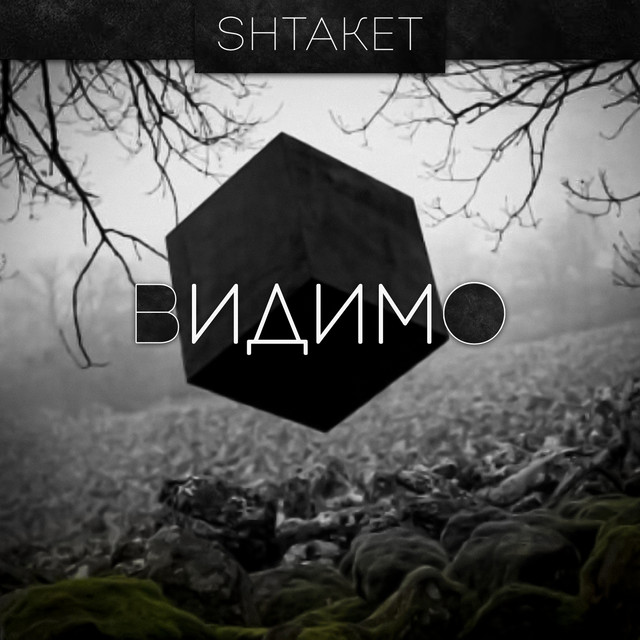 Cover art: Видимо — Shtaket