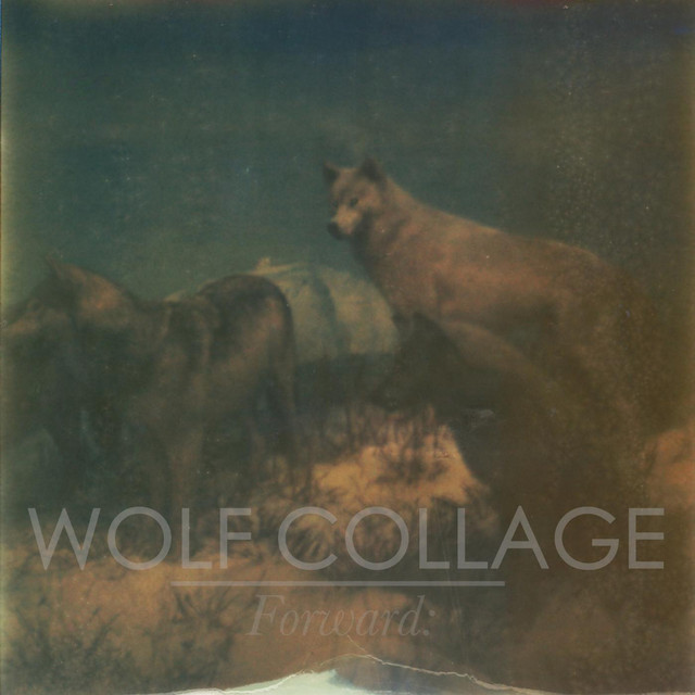 Forward cover art