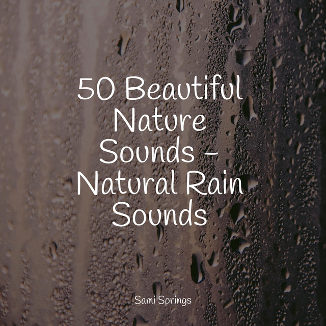 50 Beautiful Nature Sounds - Natural Rain Sounds - Album by Lluvia PQ ...
