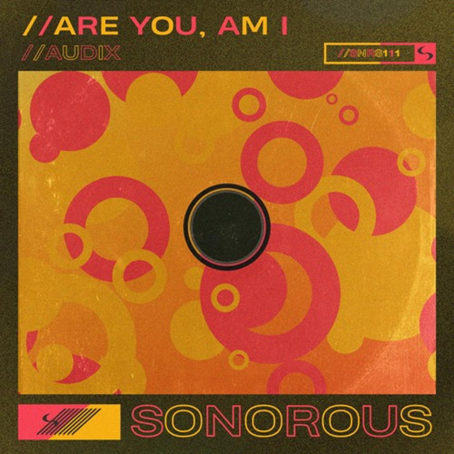 Are You, Am I cover