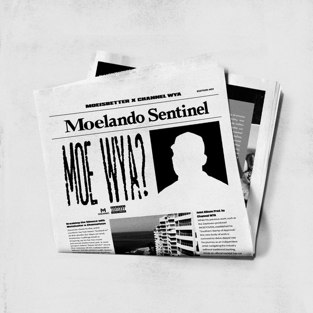 MOEWYA cover art