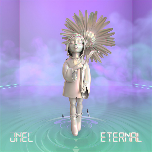 Fly cover art