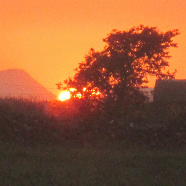 Sunset cover art