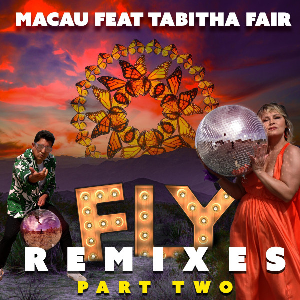 Fly - Julian Marsh House Remix cover art