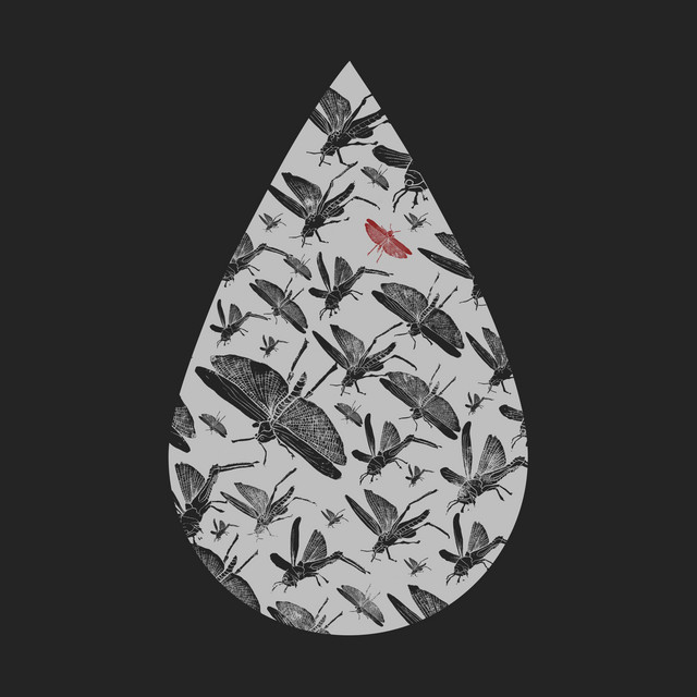 Owady cover art
