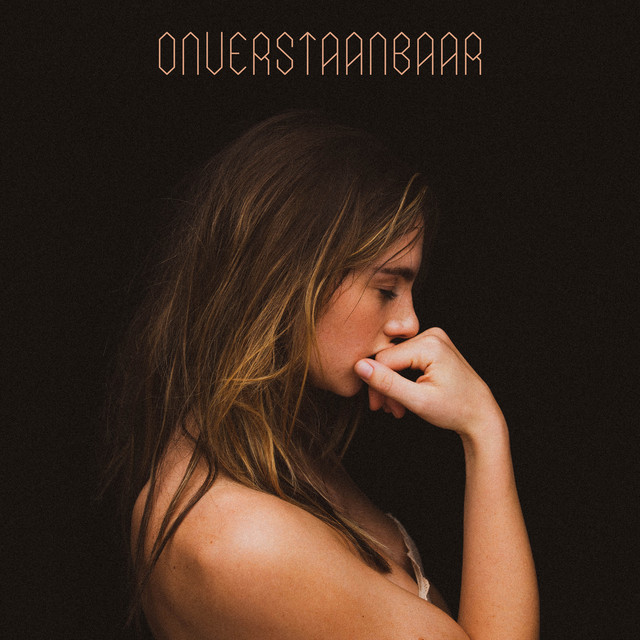 Onverstaanbaar cover art
