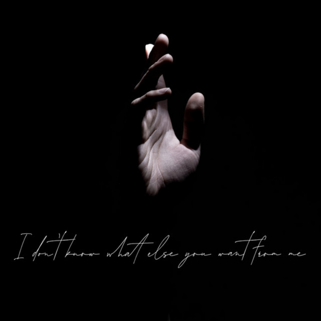 I Don't Know What Else You Want from Me cover