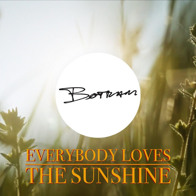 Everybody Loves The Sunshine cover art