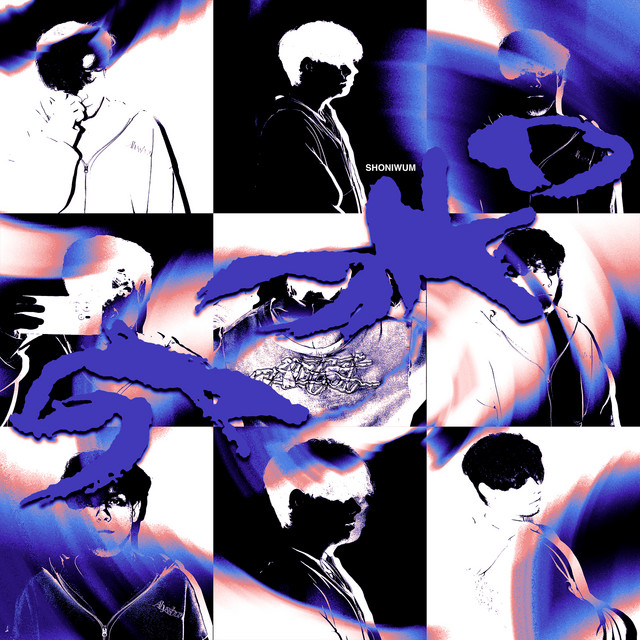 SAOKO cover art