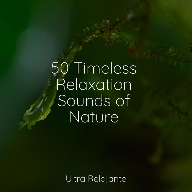 50 Timeless Relaxation Sounds of Nature - Album by Amazing Spa Music ...