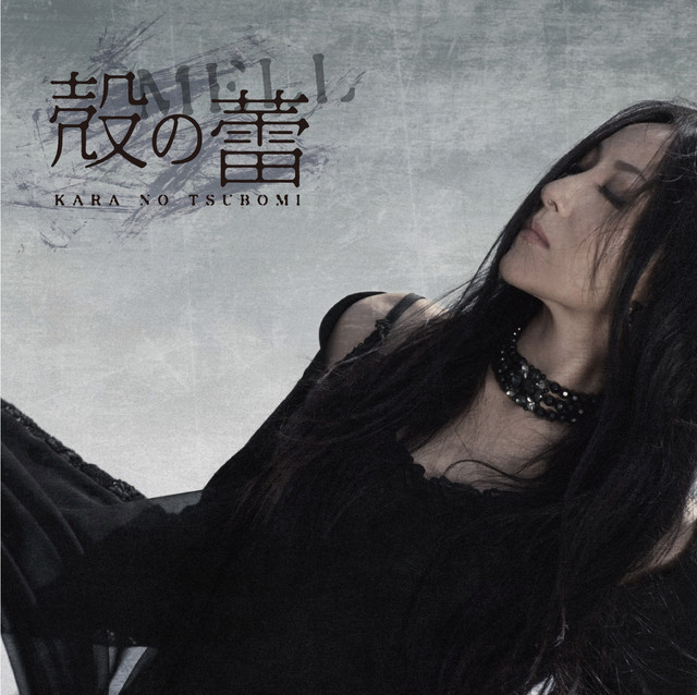 美しく生きたい (-I'VE in BUDOKAN 2009 Live ver.-) - song and