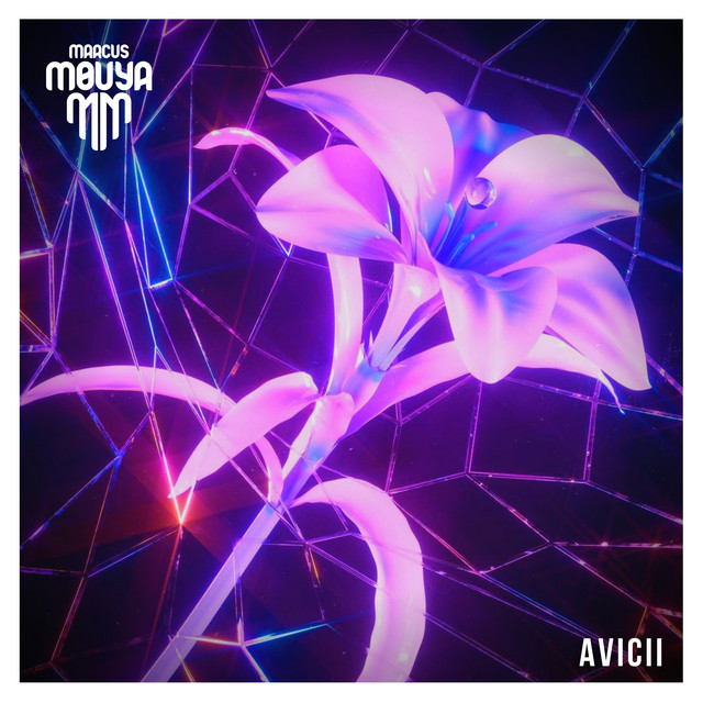 Album cover for Avicii by Marcus Mouya