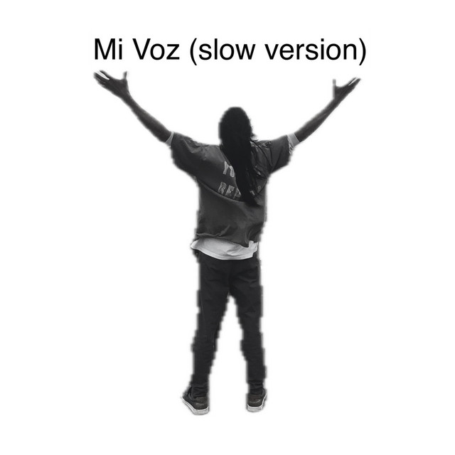 mi voz (slow version)