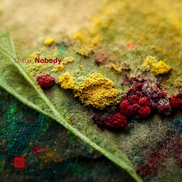Nobody cover