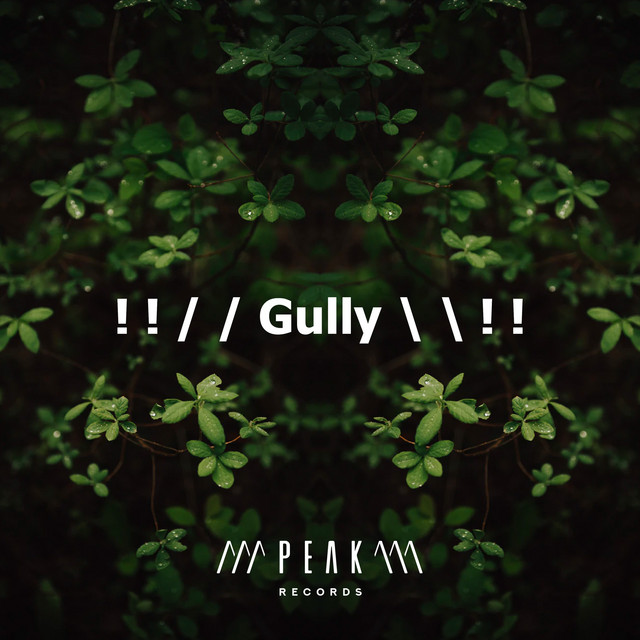 Gully \ \ ! ! - Album by Sleep Sounds of Nature | Spotify