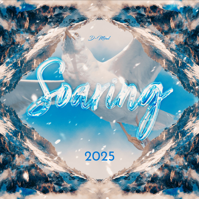 Soaring - 2025 Remastered Version