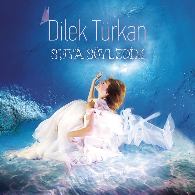Suya Söyledim album image