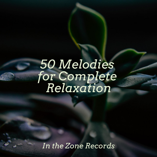 50 Melodies for Complete Relaxation - Album by Bedtime Lullabies | Spotify
