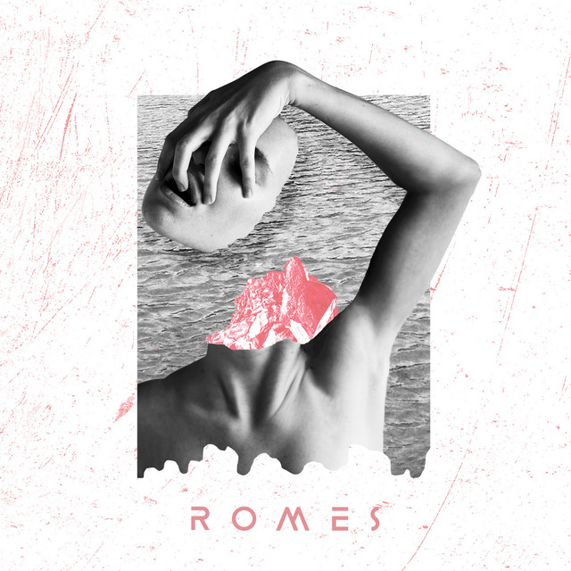 In The Wild - R0MES