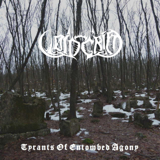 Cover art for Voin Grim — Tyrants Of Entombed Agony
