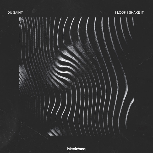 I Look I Shake It - Original Mix