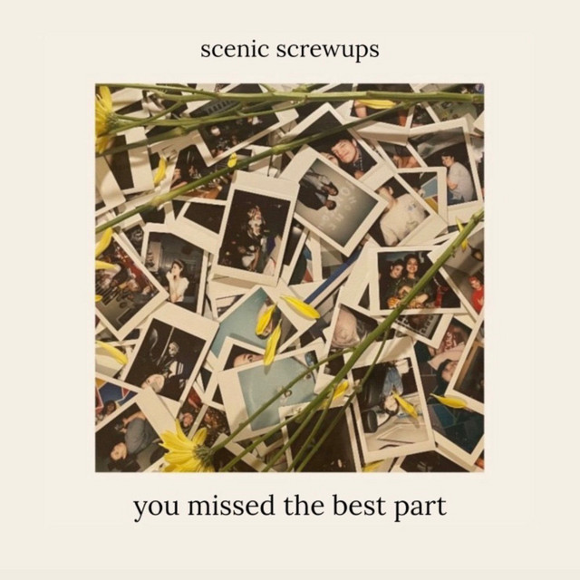 you missed the best part cover art