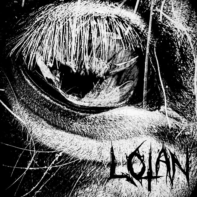 Wolfpack cover