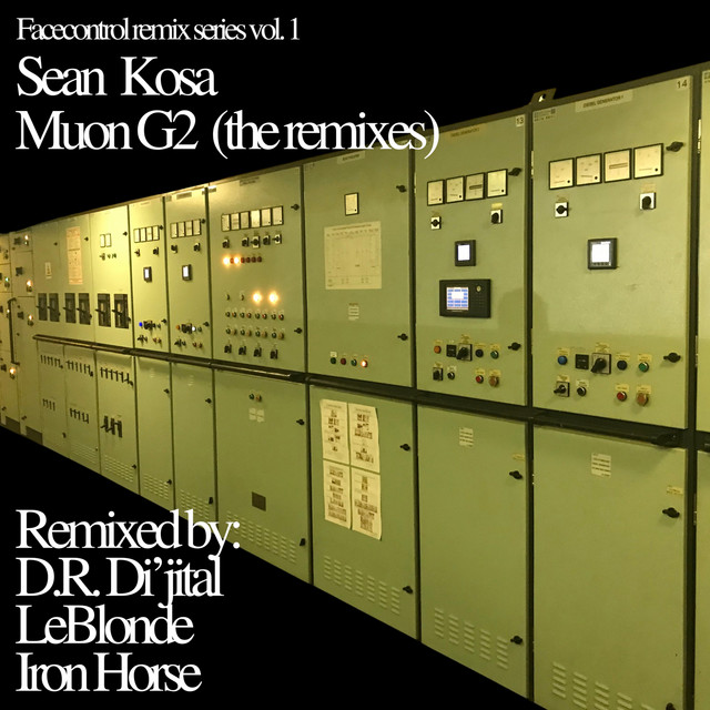Muon G2 - D.R. Di'jital Remix cover art