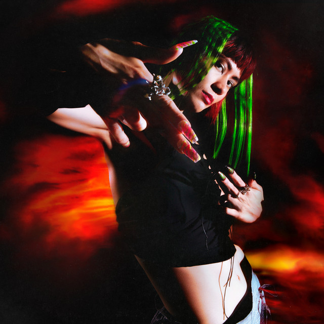 TROUBLESHOOTER cover art