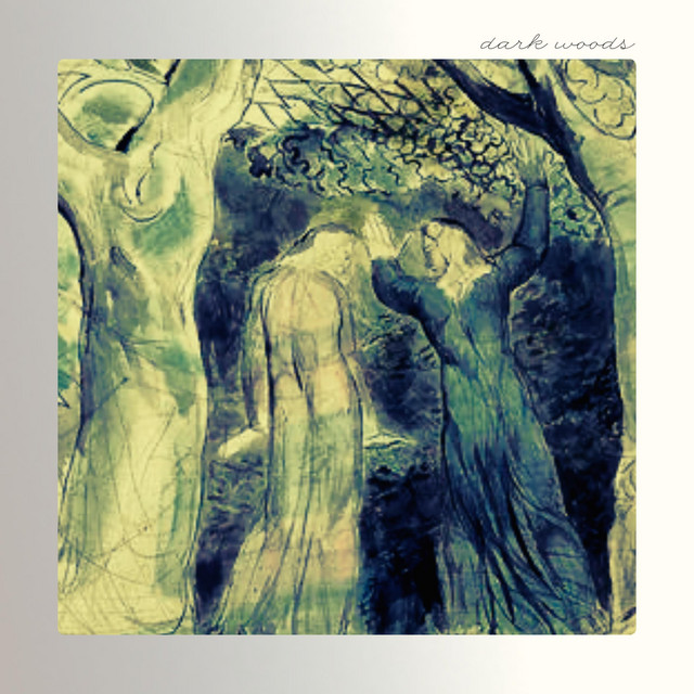Dark Woods cover