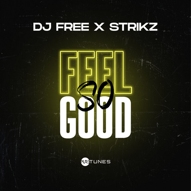 Feel So Good - song and lyrics by DJ Free, STRIKZ | Spotify
