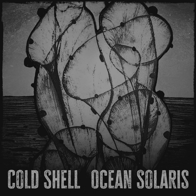 Обкладинка Cold Shell — Ocean Solaris